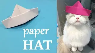 PAPER HAT FOR YOUR CAT - How To Make funny a Paper HAT for cats