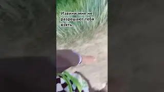извини меня