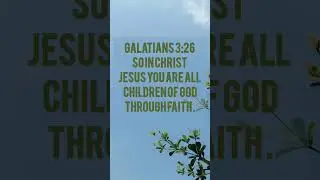 Galatians | #bibleinspired #bibleverse #bible #jesus #jesussaves #jesusbible #christianslife