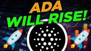 CARDANO БУДЕТ ЛИДЕРОМ В ОБЗОРЕ DEFI OCCAM FI