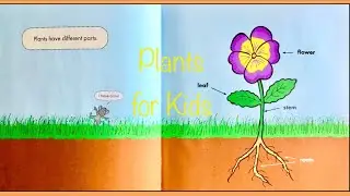 Learn  about Plants for Kids | Science for kids book read aloud | #sciencekids #readaloud