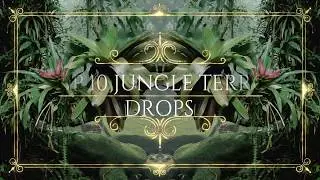 Top 10 Jungle Terror Drops (September 2017)