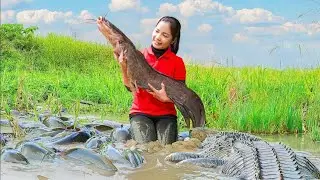 How to Harvesting Lots Of Giant Many Catfish in the Amazon Swamp Goes To Market Sell | Doctor T