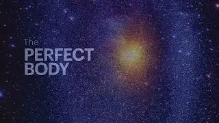 Perfect Body | Video Product Extract | Barry Long