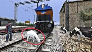 Crazy Goat 🐐 Stand on Track near Station and Stops the High Speed Train