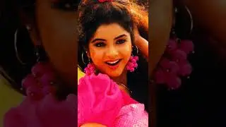 tere pyar Ko Salam o Sanam 🥀 beautiful song #best heroine ❤️ shridevi and Divya Bharati ❤️🥀💯