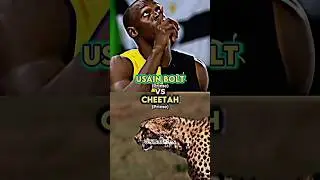 Usain Bolt vs Cheetah