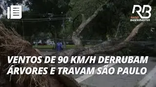 Ventos de 90 km/h derrubam árvores e travam São Paulo