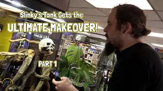 🐍Giving Our Green Tree Python Tank the ULTIMATE Makeover! 🐍- Part 1: Substrate & Hardscape!