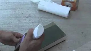 How to Save a Mildewed Book