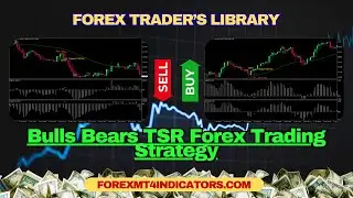 Bulls Bears TSR Forex Trading Strategy
