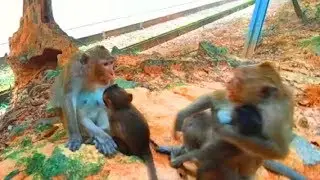 OMG! What's Going On! Bri So Hungry and Terrify, When Breen Take Her Run Like This!