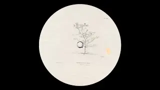 mtps - Forgotten techniques [FQTRAX008]