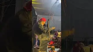 The Best Live 🌿✨Gus Sandi Rois & Gus Gendeng Kediri