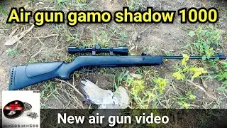 gamo shadow 1000 hunting | air gun gamo shadow 1000 | new air gun video 2025