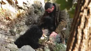Гастрономия и вина региона Рона-Альпы - Food and wine in Rhone Alps