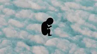 Nicolas Repac - Electrosapiens (Official video)