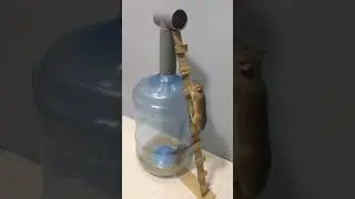 Best mouse trap idea / safe mouse trap from plastic water jar  #mousetrap #rattrap #mouse #shorts