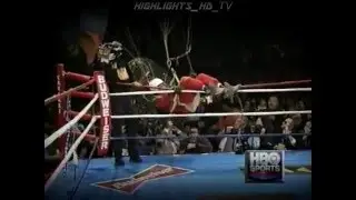 Boxing Videos - Highlight 2016 HD | Trening Sparing Fighting Ko' s |