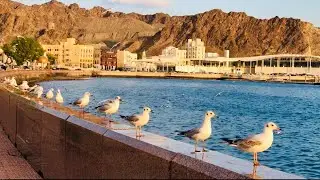Walking along the Beautiful Mutrah Corniche/Great place for a stroll /Beauty of Muttrah Corniche