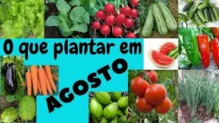 O que plantar em Agosto!? Saiba neste v&iacute;deo!