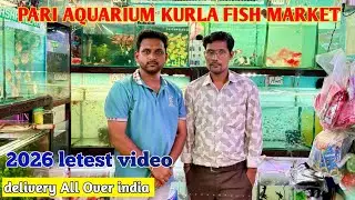 Pari aquarium Kurla fish market || Kurla fish market letast video || pari aquarium now stock 
