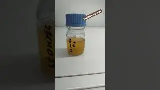 Aspergillus Niger less than 100 cfu | #microbiology #trending  #fungi  #positivecontrol #viral