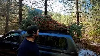 Cutting down our own Christmas tree in Eldorado National Forest
