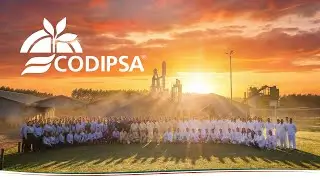 CODIPSA   Institutional Video