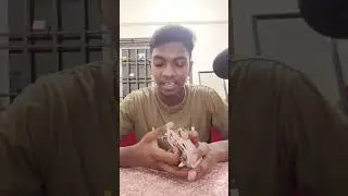 Tutorial shuffle and trick from ace of magic tamil #magic #magictrickssecret #cards #tamil #video