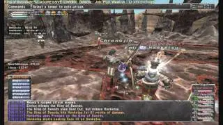 Final Fantasy XI KSNM 30 Royal Ramble
