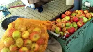 &Auml;pfel keltern Mosterei Apfelsaft Presse eigene Herstellung - Saft pressen