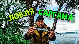 ДЕ-ФРИЗ. АМУРСКИЙ ЗАЛИВ. РЫБАЛКА НА САРГАНА. ЧИЛИМ НА РАКОЛОВКИ.
