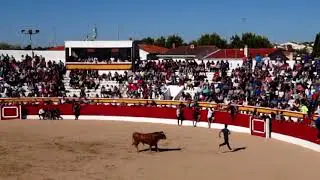Encierro 2017 fiestas en Villarejo de Salvanes