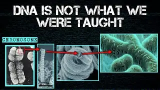 DNA IS NOT WHAT WE WERE TAUGHT