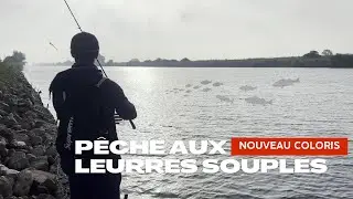 Les BARS ADORENT ce LEURRE ! Pêche du bar en canal, en Normandie.