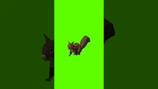 Squirrel Cartoon Character | Squirrel Walk | #shorts #squirrel #youtubeshorts #shortvideo