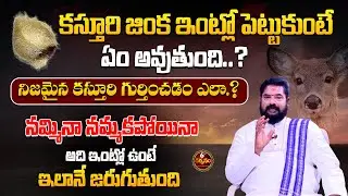 కస్తూరి జింక ఇంట్లో పెట్టుకుంటే ఏం అవుతుంది.? || Kasturi Kaya || Sri Rajan Nambudri || 6TV Darshanam