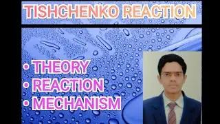 Tishchenko Reaction Mechanism ~Chemistry