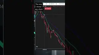 BULLS & BEARS BEHAVIOUR IN THE STOCK MARKET