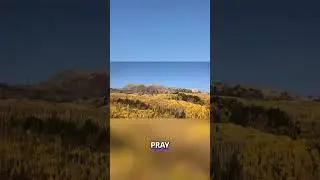 Finding Peace in Nature
