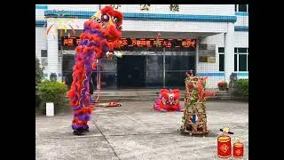 The Year of Snake with Lion Dance in Fomtec Machine Factory