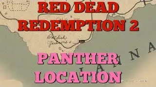 RDR2 PANTHER LOCATION