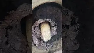 Stove tunnel  by Landi sience vrey special and clean energy for heat mise