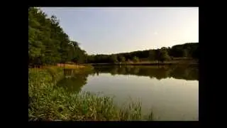 Decorata Timelapse