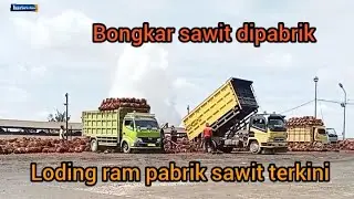 Bongkar sawit di loding ram pabrik sawit