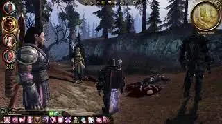 Veilguard Prologue: Dragon Age: Awakening: Dalish Male Elf Mahariel