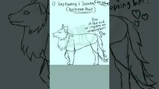 Dog Walk Cycle Process