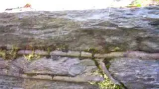 Werra-Quelle Ble&szlig;berg (Sonneberg) 800m NN