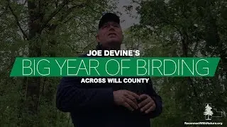 Big Year of Birding in Will County